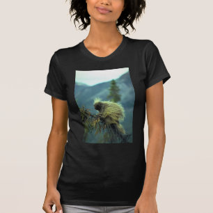 Camiseta Porco- em uma árvore spruce, NWT, Canadá