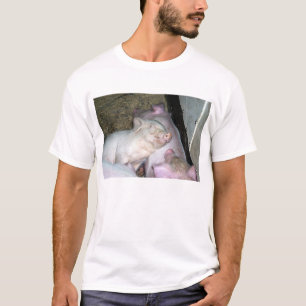 Camiseta Porcos do bebê