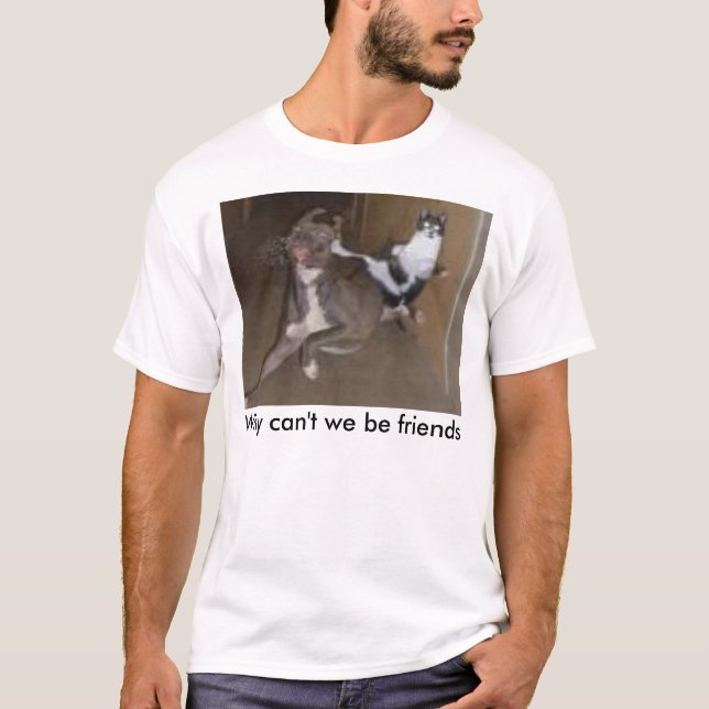 Camiseta Porque não podemos nós ser amigos (Frente)