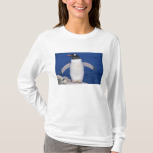 Camiseta Pôrto do Pinguim-de-gentoo (Pygoscelis papua)