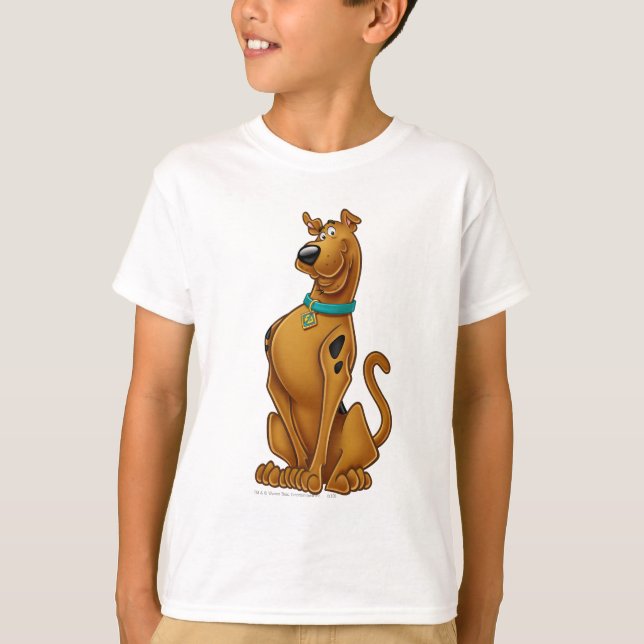 Camiseta Pose de Escovo de Ar Scooby-Doo (Frente)