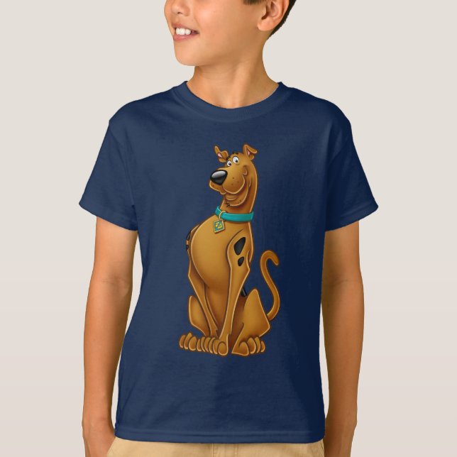 Camiseta Pose de Escovo de Ar Scooby-Doo (Frente)