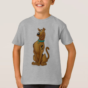 Camiseta Pose do Airbrush de Scooby-Doo