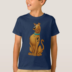 Camiseta Pose do Airbrush de Scooby-Doo