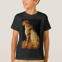 Posição de Cheetahs
