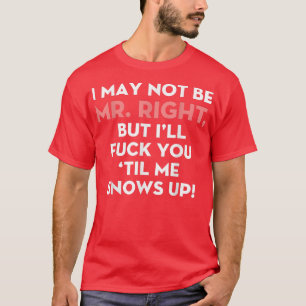 Camiseta Posso Não Ser O Sr. Certo, Mas Irei Falar Com Você