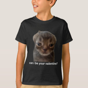 Camiseta Posso Ser Seu Namorado Meme de Gato Engraçado Brai