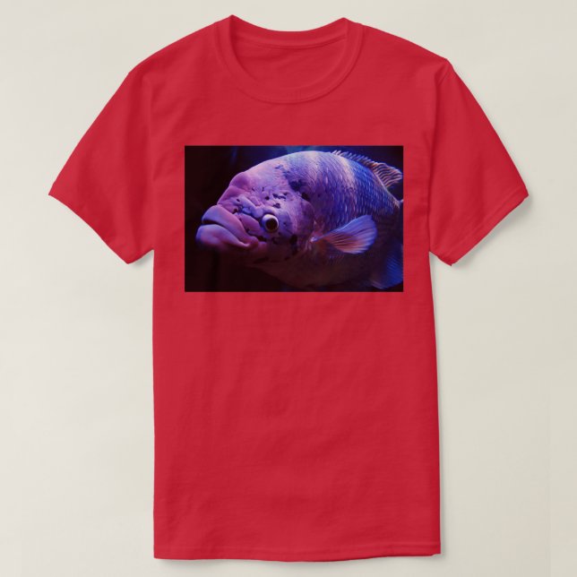 Camiseta Posso Te Ver (Frente do Design)