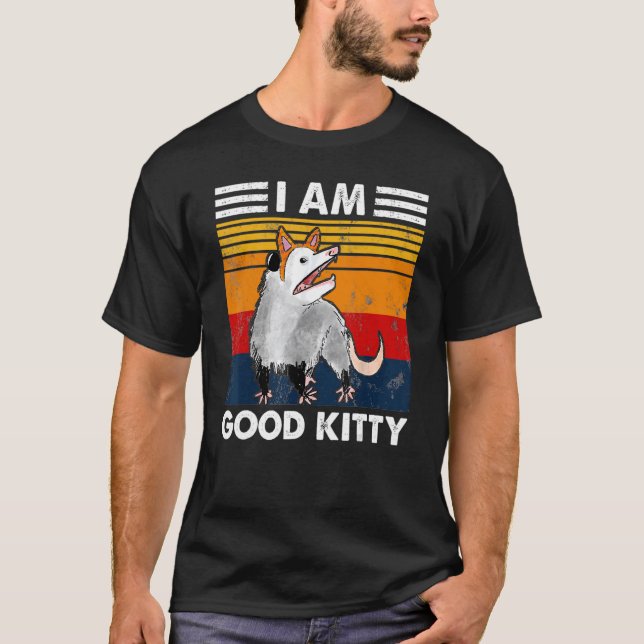Camiseta Possum I Am Good Gatinho Falso Cat Retro Ogambm Co (Frente)