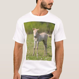 Camiseta Potro do Cavalo de Przewalski, Hungria