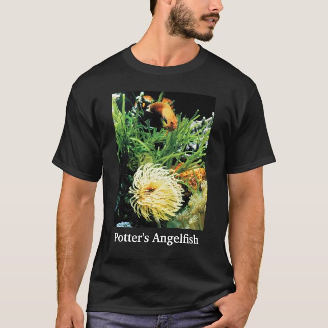 Camiseta Potter's Angelfish (Frente)