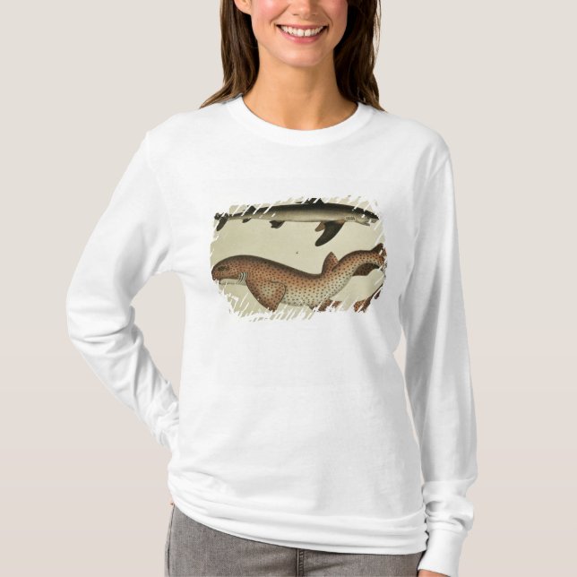 Camiseta Poucas cações manchadas (Frente)