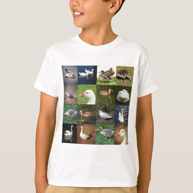 Camiseta Praça de retalhos de fotos - Pássaros (Frente)