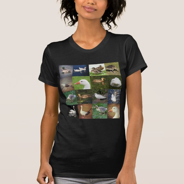 Camiseta Praça de retalhos de fotos - Pássaros (Frente)