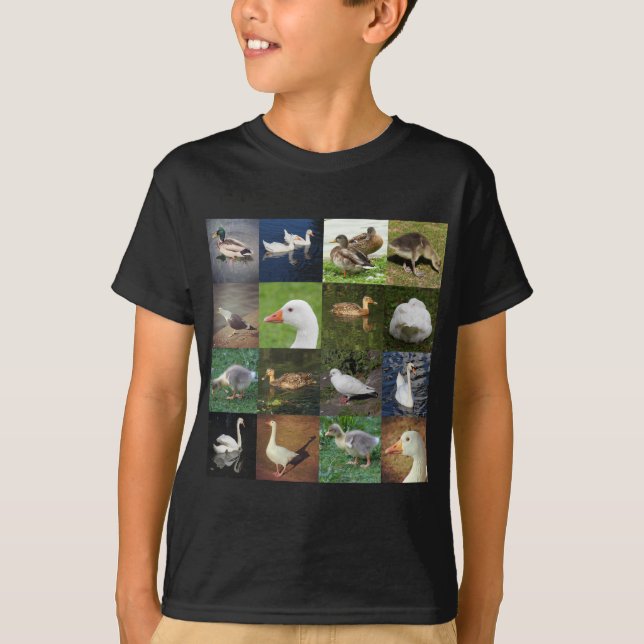 Camiseta Praça de retalhos de fotos - Pássaros (Frente)