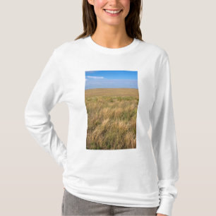 Camiseta Pradaria de pastagem a leste de Sidney, Nebraska.