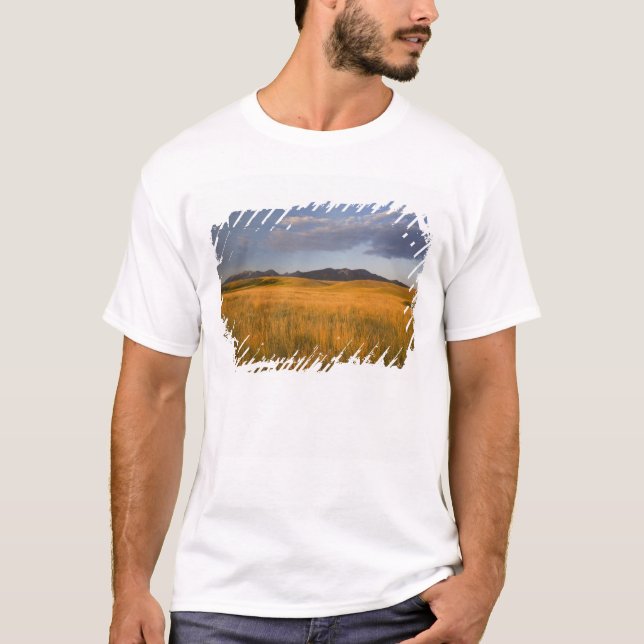 Camiseta Pradarias nas encostas dos (Frente)