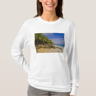 Camiseta Praia Anse Victorin 4