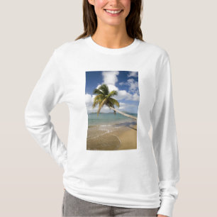 Camiseta Praia Coconut Grove na Baía de Cades, com St.