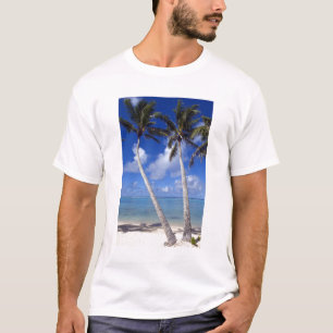Camiseta Praia com palmeiras Ilhas Cook