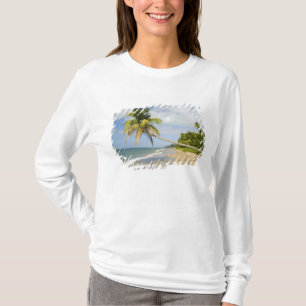Camiseta Praia de Coconut Grove na Baía de Cades, com Ruas 