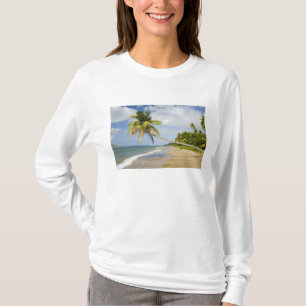 Camiseta Praia de Coconut Grove na Baía de Cades, com Ruas