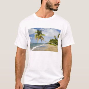 Camiseta Praia de Coconut Grove na Baía de Cades, com St. 2