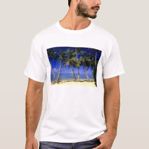 Camiseta Praia ladeada por palmeiras Ilhas Cook 4