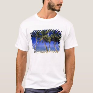 Camiseta Praia ladeada por palmeiras Ilhas Cook 4