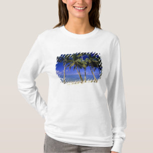 Camiseta Praia ladeada por palmeiras Ilhas Cook 4