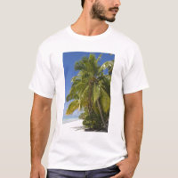 Praia na Ilha de Um Pé, Aitutaki, Ilhas Cook