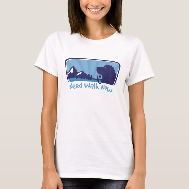 Camiseta preciso caminhar agora (Frente)