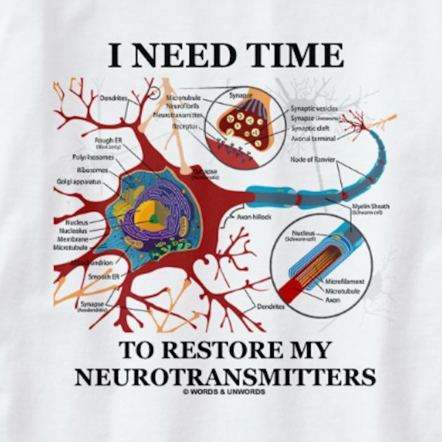 Camiseta Preciso De Tempo Para Restaurar Os Meus Neurotrans (Tee featuring neuron/synapse for anyone who needs time to restore his or her neurotransmitters)