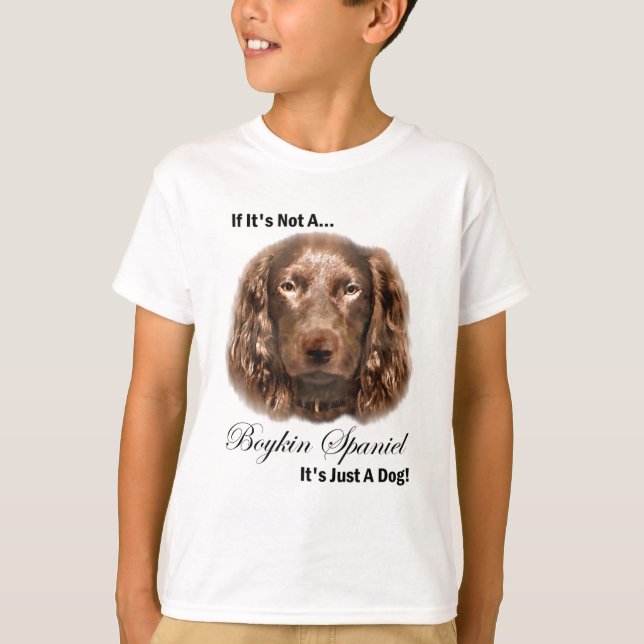 Camiseta Presentes da arte do Spaniel de Boykin (Frente)
