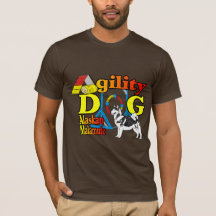 Presentes de agilidade no Alaska Malamute