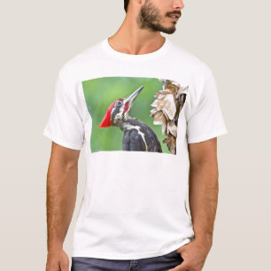 Camiseta Presentes de Roupas com Perfil de Pica-Pau-Grande