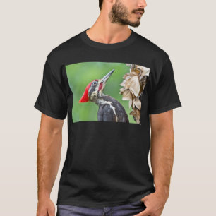 Camiseta Presentes de Roupas com Perfil de Pica-Pau-Grande