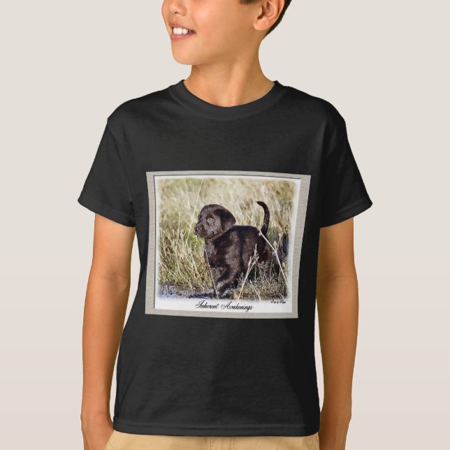 Camiseta Presentes do Labrador Retriever (Frente)
