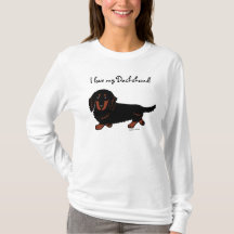 Preto de cabelos compridos e Tan do Dachshund