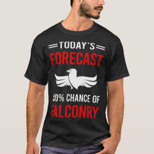 Camiseta Previsão de Hoje Falcão Falcão