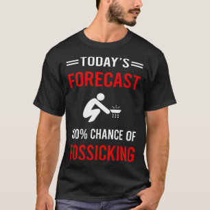 Camiseta Previsão de Hoje Fosicking Fosease