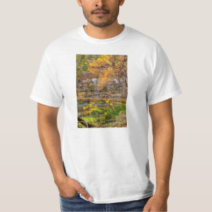 Camiseta Primavera de Beco de Visualização de Outono