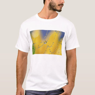 Camiseta Primeiro plano de teia de aranha com gotas de orva