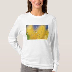 Camiseta Primeiro plano de teia de aranha com gotas de orva
