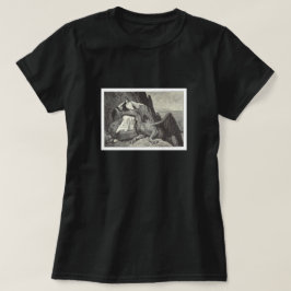 Camiseta Princesa Medieval e seu Dragão
