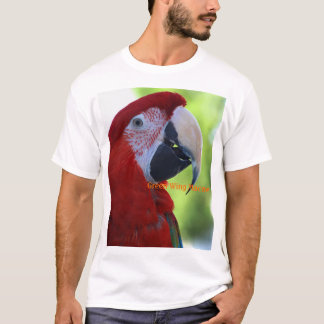 Camiseta Princesa Verde Asa Macaw