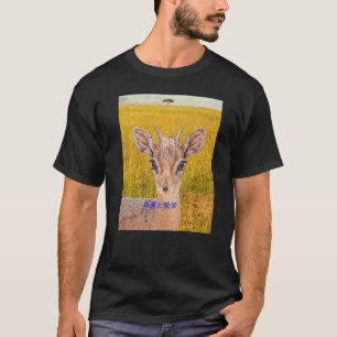 Camiseta proa boa sorte e roupa de prosperidade