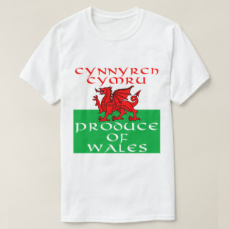 Camiseta Produto de Wales