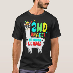 Camiseta Professor de Lhama Sem Problema da 2ª Série Volta