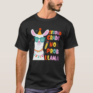Camiseta Professor do 2º ano do segundo do time Sem Prob La